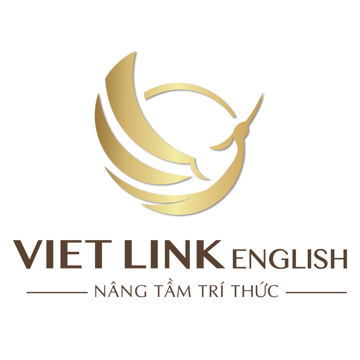 VietLink English